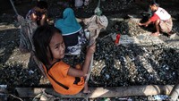 Seorang anak bermain ayunan sambil menunggu ibunya menyelesaikan pembersihan kerang hijau.