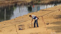 Surutnya air di sungai tersebut membuat dataran di bantaran banjir kanal barat menjadi meluas. Hal itu dimanfaatkan warga untuk beraktivitas, salah satunya untuk bermain maupun melatih burung dara.