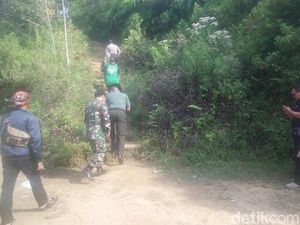 Babi Hutan Serang Warga di Banyumas, 4 Orang Dilarikan ke Rumah Sakit