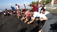Pelepasan tukik oleh PT Indonesia Power dan para wartawan di Pantai Saba, Gianyar, Bali, Jumat (28/6).