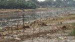 Melihat Aktivitas Warga di Sungai Ciliwung yang Mulai Surut