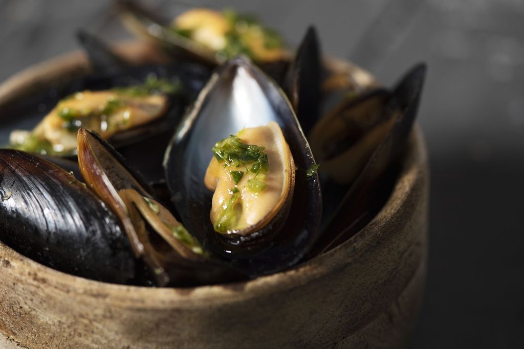 Kerang Hijau saus tiram. Delicious asian style Green mussel with spicy seafood sauce. Top View
