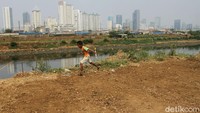 Anak-anak hingga orang dewasa tak mau ketinggalan bermain di daratan baru banjir kanal barat tersebut akibat air Sungai Ciliwung perlahan surut.