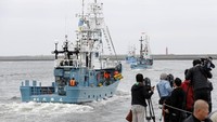Keputusan Jepang untuk kembali berburu ikan paus ini pun disambut baik oleh para pemburu paus. Upacara pemberangkatan kapal-kapal pemburu paus pun dilakukan di utara Kota Kushiro, Jepang, dan dihadiri oleh Direktur Jenderal Perikanan Jepang, Shigeto Hase. Kyodo via Reuters.