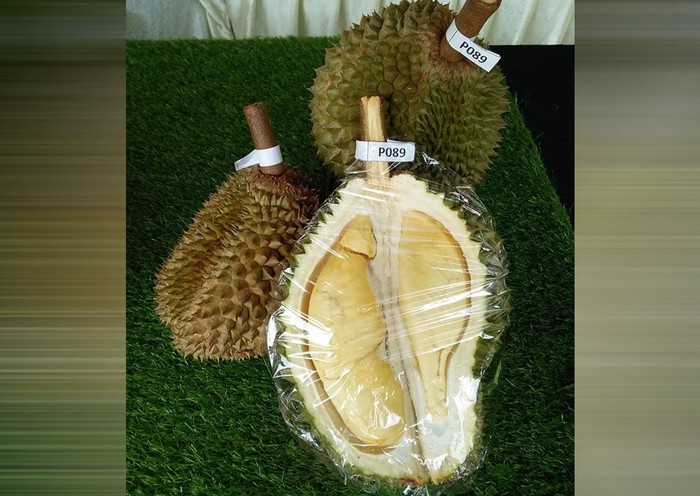 Foto: Istimewa Foto: Istimewa