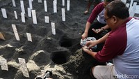 Di tempat ini kita juga bisa melakukan penanaman telur penyu sebagai bentuk edukasi kepada masyarakat dan tidak dipungut bayaran.