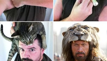 The Rock. Foto: mdig.com.br