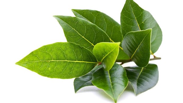 F7c394cf 6d71 407a 8666 B0b04f867ff2 169