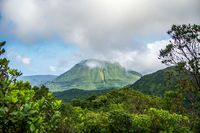 Kalau Dominika, punya hutan tropis yang menawan (iStock)