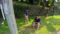 Anjing itu ditemukan tergeletak di bawah tiang listrik yang ada di pinggir jalan. Saat itu, ada luka di bagian mulut anjing tersebut. Saepulloh lalu menyerahkannya ke tim satwa (Jefrie/detikcom)