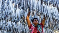Potret seorang pekerja tengah mengeringkan ratusan ikan di salah satu daerah di Bangladesh. Istimewa/Dok. Boredpanda/Agora Photo/@tutul1410.