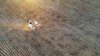Potret seorang petani sedang membajak sawah dengan menggunakan sapi di Myanmar. Istimewa/Dok. Boredpanda/Agora Photo/@myothet.