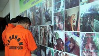 Ada dua jenis modus yang digunakan oleh para pedagang satwa liar. Pertama adalah melibatkan tiga pihak, dan yang kedua melibatkan empat pihak. 