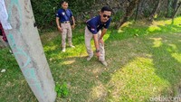 Sementara itu, pihak keamanan Sentul City sudah mencari keberadaan anjing yang dibawa SM sejak Senin (1/7). Pada Selasa (2/7) pukul 08.30 WIB, seorang petugas sekuriti bernama Saepulloh menemukan anjing mati tergeletak ketika patroli pagi.  (Jefrie/detikcom)