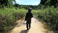 Mereka berpatroli membelah hutan terdepan di wilayah timur indonesia. Muhammad Ridho/detikcom.