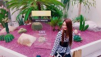Spot yang Instagramable tak dilewatkan pengunjung saat mampir ke Cafe The Garden. Dengan nuansa kebun, ada beberapa tanaman kaktus keren di sini. Foto: Instagram miireeiichan