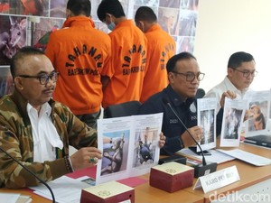 Polri Tangkap Penjual Kanguru hingga Beruang Madu Via Online
