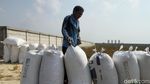 Lumbung Padi di Antara Belantara Beton Ibu Kota