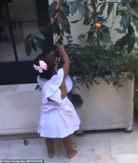 Khloe Kardashian Biarkan Putrinya Makan Jeruk Kumquat Langsung dari Pohon