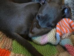 Deretan Foto yang Perlu Dilihat Dua Kali Agar Tidak Terkecoh