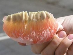 Deretan Foto yang Perlu Dilihat Dua Kali Agar Tidak Terkecoh