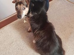 Deretan Foto yang Perlu Dilihat Dua Kali Agar Tidak Terkecoh