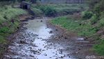 Musim Kemarau Anak Sungai Citarum Menyusut