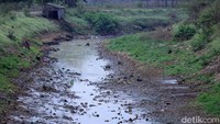 Terlihat sedimentasi di sungai tersebut.