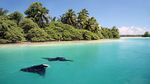 Pulau Terluar Amerika Serikat, Tersebar di Seluruh Dunia