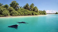 Akses ke Kepulauan Terluar Kecil Amerika Serikat hanya diberikan ke segelintir peneliti, pendidik, dan sukarelawan pada setiap tahunnya. Tujuh dari pulau-pulau itu, terumbu karang dan atol sangat dilindungi (CNN)