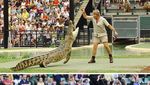 Masih Ingat Steve Irwin? Kecintaan Pada Hewan Turun ke Sang Anak