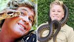 Masih Ingat Steve Irwin? Kecintaan Pada Hewan Turun ke Sang Anak
