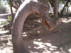 Deretan Foto yang Perlu Dilihat Dua Kali Agar Tidak Terkecoh