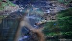 Musim Kemarau Anak Sungai Citarum Menyusut