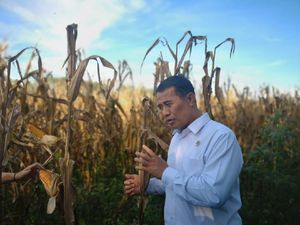 Senator Sumut Apresiasi Ekspor Pertanian Indonesia Meningkat Tajam