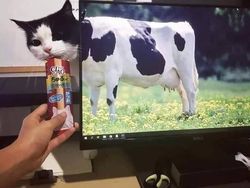 Deretan Foto yang Perlu Dilihat Dua Kali Agar Tidak Terkecoh