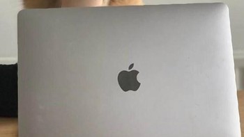 Coba liat lagi, apa benar itu tangan anjing? Foto: Brightside