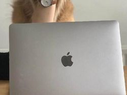 Deretan Foto yang Perlu Dilihat Dua Kali Agar Tidak Terkecoh