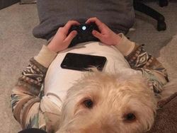 Deretan Foto yang Perlu Dilihat Dua Kali Agar Tidak Terkecoh