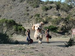 Deretan Foto yang Perlu Dilihat Dua Kali Agar Tidak Terkecoh