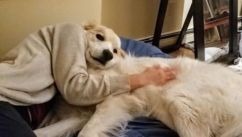 Nah ini juga manusia anjing... Foto: Brightside