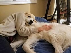 Deretan Foto yang Perlu Dilihat Dua Kali Agar Tidak Terkecoh