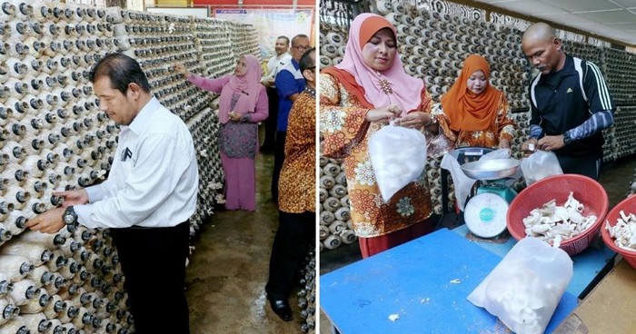 Foto: Istimewa Foto: Istimewa