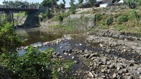 Sungai Jeroan, Kabupaten Madiun, Jawa Timur, juga mulai mengalami penyusutan akibat musim kemarau. Siswowidodo/Antara Foto.