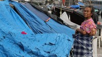 Meski telah beberapa kali ditertibkan, tak sedikit warga yang kembali membangun gubuk-gubuk liar di kawasan Kanal Banjir Barat, Jati Pulo, Jakarta Barat.