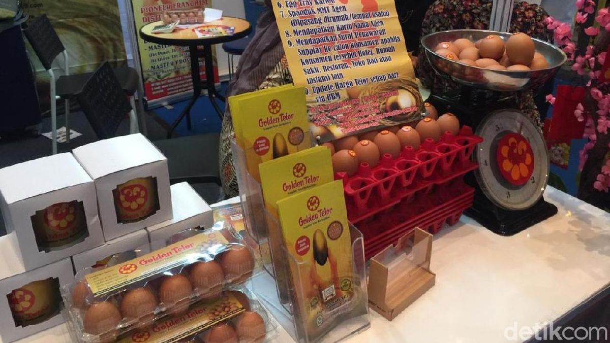 Jualan Telur Ayam Bisa Dapat Omzet Puluhan Juta Tiap Bulan