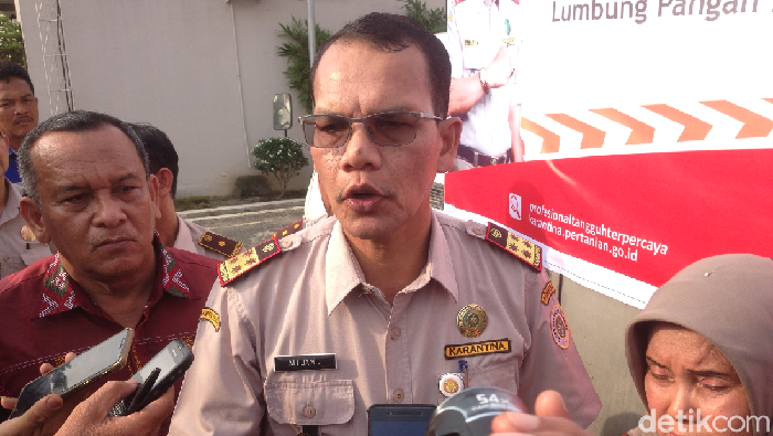 Kepala Badan Karantina Pertanian Ali JamilFoto: Budi Warsito/detikcom Kepala Badan Karantina Pertanian Ali JamilFoto: Budi Warsito/detikcom