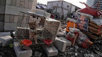 Pembangunan rumah yang dilakukan warga di lokasi bekas kebakaran di kawasan Kampung Bandan itu telah dilakukan sejak seminggu yang lalu.