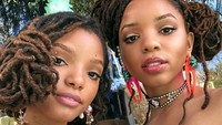 Halle dan Chloe terkenal sebagai kakak beradik yang jadi idola baru bagi anak muda di Amerika Serikat. Dok. Instagram/chloexhalle