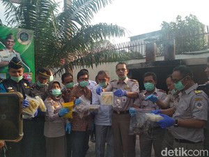 Balai Pertanian Medan Musnahkan Durian-Anak Burung Ilegal dari Malaysia